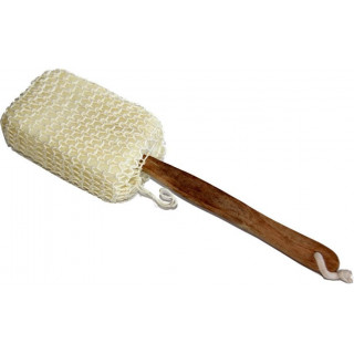 Brosse à Dos Lang Manche